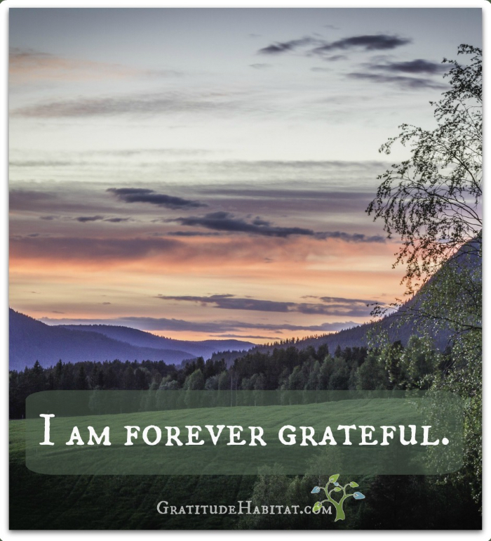 Forever Grateful Quotes. QuotesGram