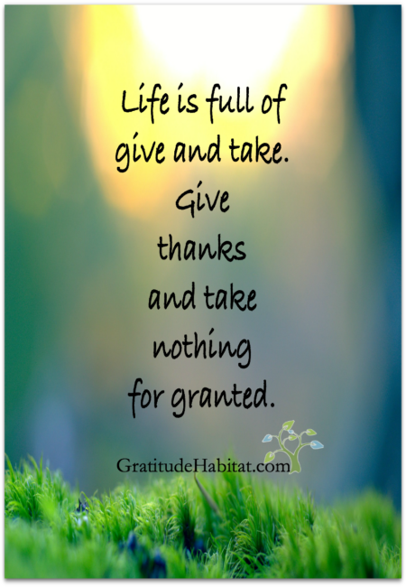 Living In Gratitude Ways To Be Grateful Every Day Gratitude Habitat