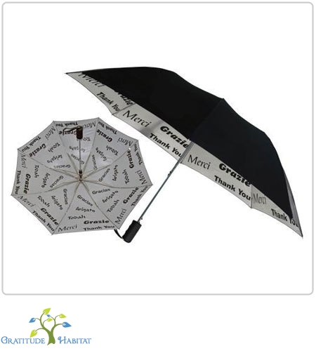 umbrella-2