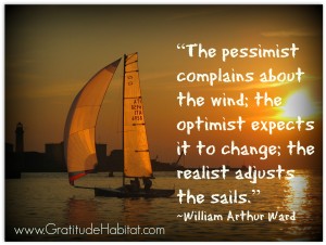 unrealistic optimism organizational change