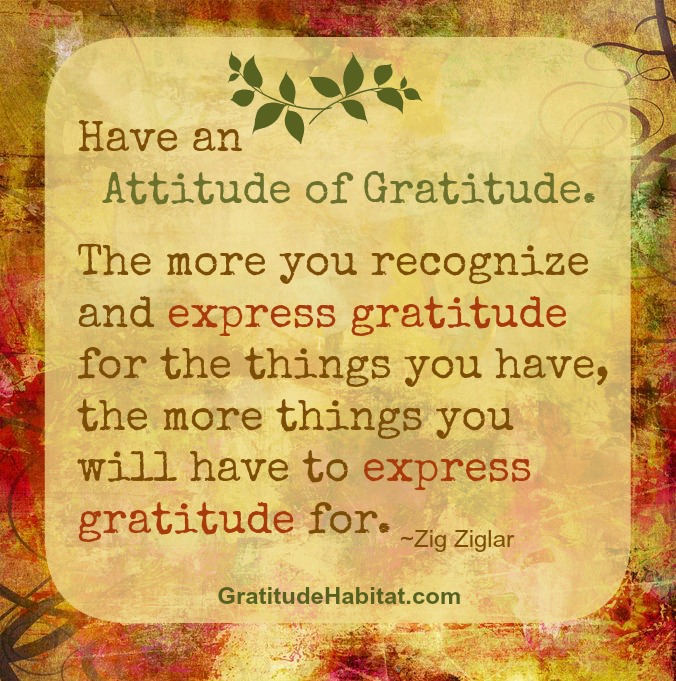 How Do You Express Gratitude?