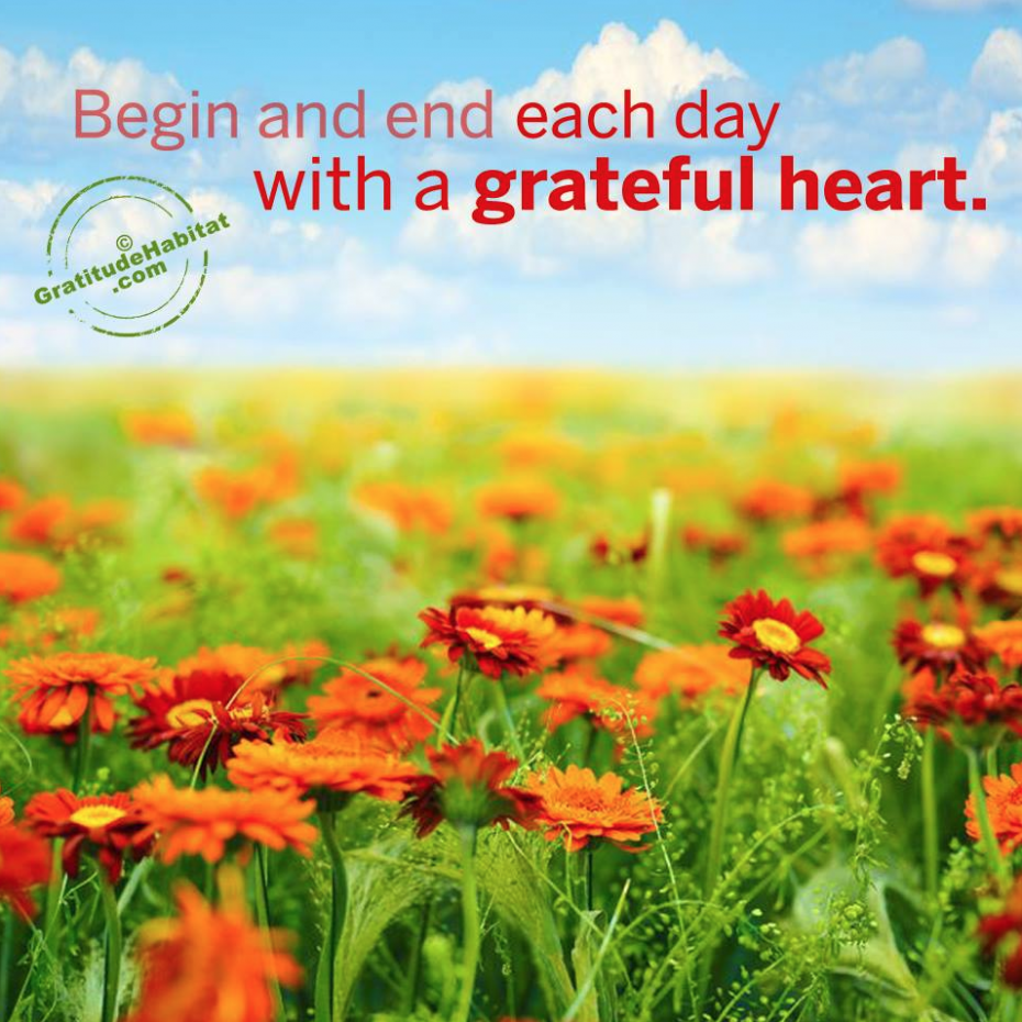 Living In Gratitude Begin And End Each Day Gratitude Habitat