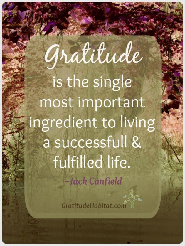 Living In Gratitude: The Most Important Ingredient – Gratitude Habitat