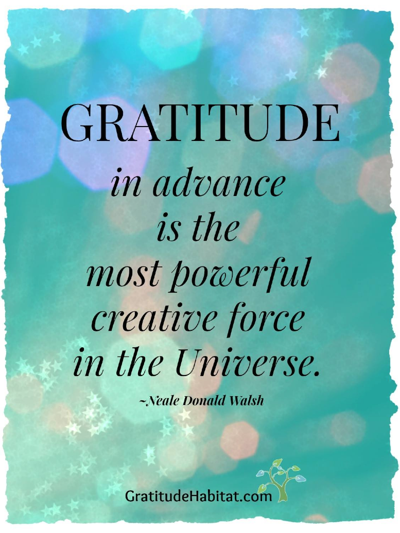 The incredible Power of Gratitude  What does it Mean to be Grateful?