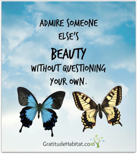 Admire beauty without questioning