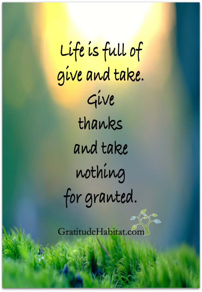 Living In Gratitude 12 Ways To Be Grateful Every Day Gratitude Habitat