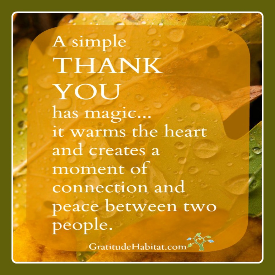 living-in-gratitude-6-tips-to-composing-heartfelt-thank-you-notes