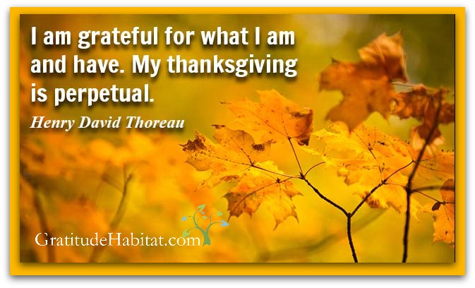 thanksgiving-is-perpetual