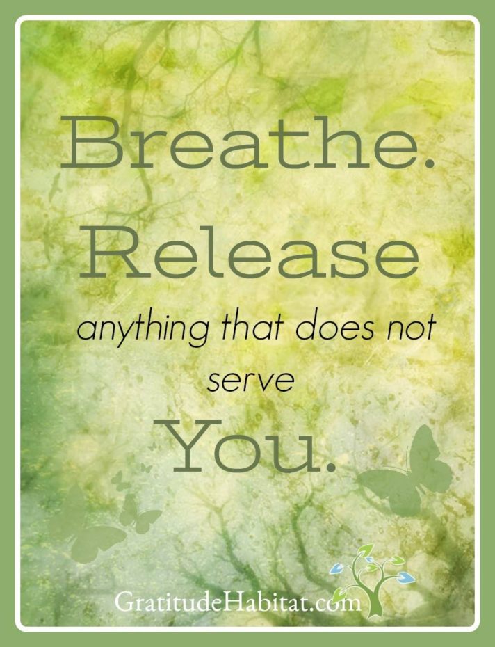 Living In Gratitude: The Power of Breath – Gratitude Habitat